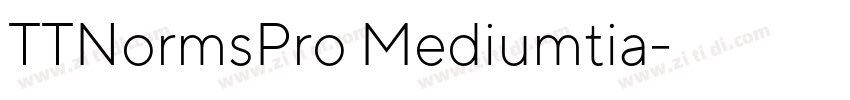 TTNormsPro Mediumtia字体转换